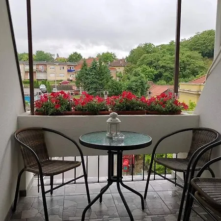 Apartmán Rajic Golubac