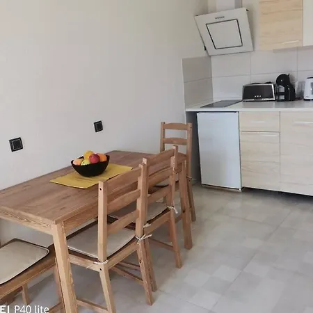 Rajic Apartment Golubac