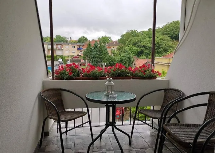 Appartamento Rajic Golubac